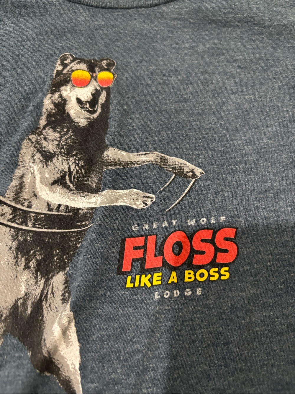 Great Wolf Lodge "Floss Like A Boss" Graphic Tee - Blue